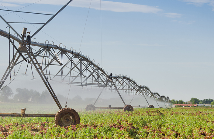 Фильтры для воды на входе и выходе: невоспетые хранители эффективных операций по опрыскиванию сельскохозяйственных культур
