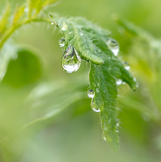 Jinhua Shuangding Machinery Co., Ltd.